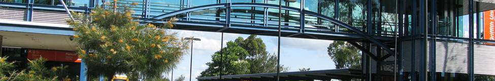 Australia's Griffith Business School Announces New Scholarship