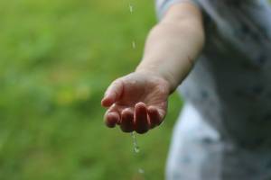 Sustainability / CSR / Social Entrepreneurship