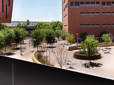 ASU Carey Launches MBA/MD Dual Degree with the Mayo Medical School