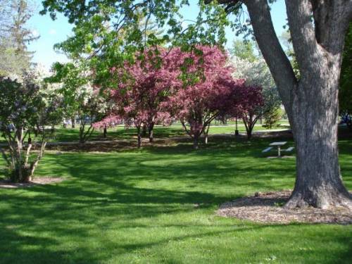 A beautifully landscaped campus