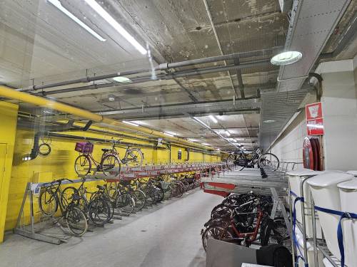 Bicycle Cellar
